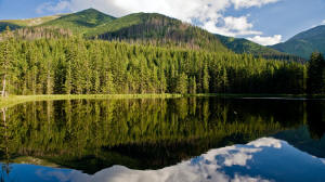 Готель Редик джакузі гідромасаж