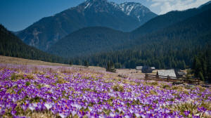 Готель Редик осінній пейзаж